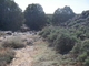 The Riverbend Taos