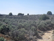 The Riverbend Taos